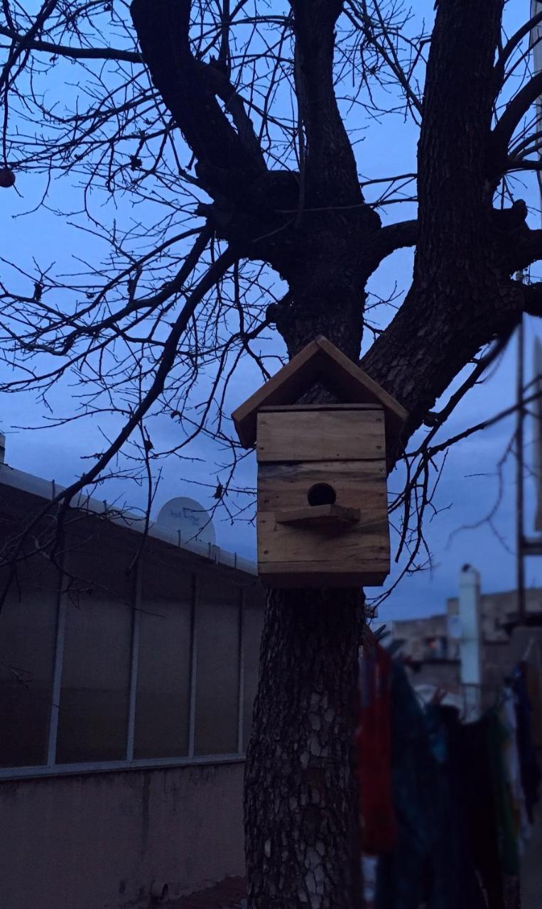 Birdhouse Rooms Tbilisi Exterior foto